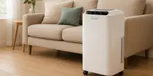Combatti muffa e umidità senza rumore: deumidificatore Olimpia Splendid in offerta per il Prime Day