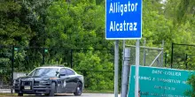Alligator Alcatraz, il carcere nella palude: celle sovraffollate, poco cibo e niente medicinali. Fuori: alligatori e pitoni