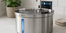 Silenziosa, sicura e senza fili: la fontanella per l’acqua perfetta per il benessere dei tuoi gatti