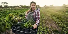L'agroalimentare italiano continua a essere una certezza