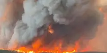 Le foreste iniziano ad inquinare, allarme per Canada, Finlandia, Estonia e Germania