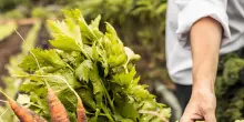 Si apre ’Agrofutura’. Il grande festival dell’agroalimentare