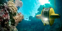 Giornata Mondiale degli Oceani: perché proteggere il mare è essenziale per il futuro del pianeta