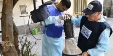 West Nile, sesta vittima nel Lazio: un’anziana di Latina. Primo caso positivo anche a Roma