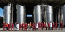 Cantina Bigi, un viaggio tra qualità, passione e tradizioni