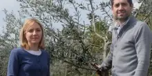 "Sguardo attento sulla realtà"