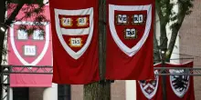 Giudice sospende blocco studenti stranieri ad Harvard