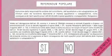 Referendum 2025: come votare. La guida