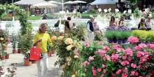 ’Orticola di Lombardia’. Fiori, piante e frutti insoliti, rari e antichi