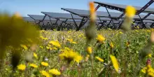 Italia: fabbisogno elettrico in calo, rinnovabili coprono il 56% a maggio