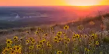 I giorni più lunghi di primavera: cosa accade quando cambia la luce