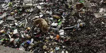 Giornata mondiale dell'Ambiente: l'ONU chiede azioni urgenti contro l'inquinamento da plastica