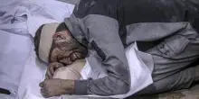 Hamas, '94 morti nei raid israeliani a Gaza in 24 ore'