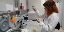 Alzheimer e Parkinson, scoperta proteina che rallenta il declino cognitivo legato all’invecchiamento