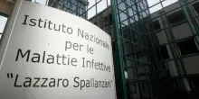 West Nile: altre due vittime, in Campania e nel Lazio, dove salgono a 16 i nuovi casi positivi
