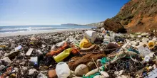 Allarme plastica, mille miliardi l'anno di danni alla salute