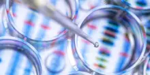 La SLA potrebbe essere una malattia autoimmune: la scoperta che cambia prospettiva nelle cure