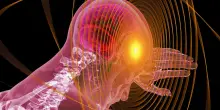 Troppo lavoro fa male al cervello: rischi cognitivi ed emotivi legati a eccessivi carichi lavorativi