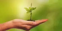 Futuro24 estate: progetti di ricerca amici dell'ambiente