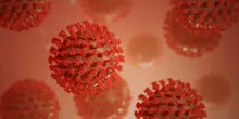 Covid, cresce nuova variante Nimbus. Oms: “Attività virus torna a livelli luglio 2024”