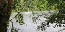 Due giovani si tuffano nel fiume Oglio e non riemergono: in corso le ricerche