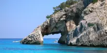 Le straordinarie immagini di un giovane delfino a Cala Goloritzè