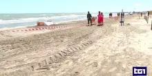 Cervia, una ruspa travolge donna in spiaggia che prende il sole