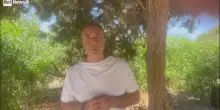 Covid, la nuova variante Nimbus, Ciccozzi: "Ha un'infettività maggiore ma il vaccino la copre"