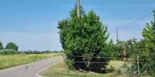 Bologna, forzano posto di blocco su una Bmw e si schiantano. Morto il conducente dell'altra auto