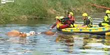 30 mucche di un allevamento finiscono in un canale nel milanese, il video dei soccorsi