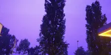 La furia dell'acqua in Veneto: forti temporali nella notte, il video