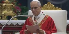 Il Papa: "La nostra terra sta cadendo in rovina, ferirla è peccato. Serve una giustizia ambientale"