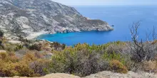 Futuro24: Montecristo, l'isola dove il tesoro è la biodiversità