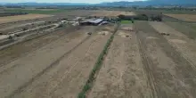 Ventilatori nelle stalle: le mucche cercano conforto. Agricoltura in ginocchio per il caldo