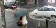 Allerta meteo, nubifragio nel Milanese, donna è morta travolta da albero: mesociclone al Nord