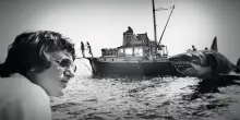 Lo squalo compie 50 anni: il documentario che svela l’uomo dietro il mito