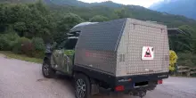 Trasferita in Germania l'orsa JJ4, aggredì Andrea Papi