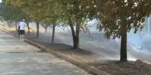 Pomeriggio di fuoco in Umbria: ''Abbiamo visto le fiamme a pochi metri''