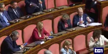 I dazi, la guerra a Gaza e i centri in Albania fanno discutere la politica