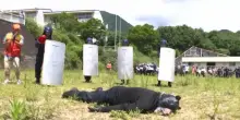 Giappone, un uomo si traveste da orso durante un'esercitazione della polizia per simulare un attacco