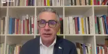 West Nile, Pregliasco: "Ecco come distinguere i sintomi dalla febbre normale"