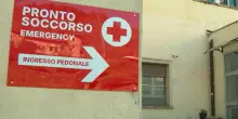 Spoleto, bimbo di 15 mesi morso al volto dal cane di famiglia