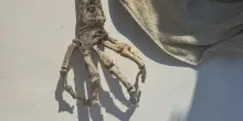 "Odissea di plastica": dal mare spuntano gli oggetti di scena del kolossal di Nolan