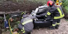 Maltempo, albero su auto nel Materano: morto un ragazzo, altri tre feriti