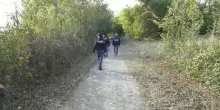 Legata e violentata sulla ciclabile a Modena, in carcere l'aggressore