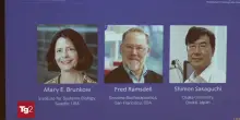 Il Nobel per la Medicina a Mary E. Brunkow, Fred Ramsdell e Shimon Sakaguchi