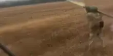 Sibilo del missile Stinger che abbatte un drone russo Shahed: video