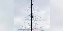 Filippine, operai sorpresi dal terremoto mentre allestiscono un grande albero di Natale