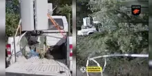 Soldati russi mostrano il nuovo sistema di difesa, poco dopo un drone lo distrugge - Video
