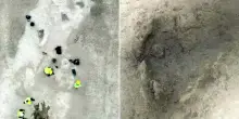 La “via dei dinosauri” si allunga: oltre 200 metri di impronte affiorano nella cava un tempo laguna